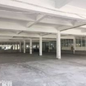 秣陵独门独院厂房 面积大小可分 配套