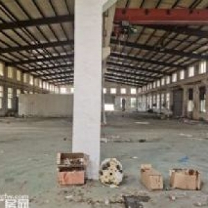 禄口9000平单层厂房仓库出租，高9米，可分租1000平起，
