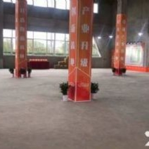 南京六合经济开发区厂房出售，2000平，层高8.1米，准现房