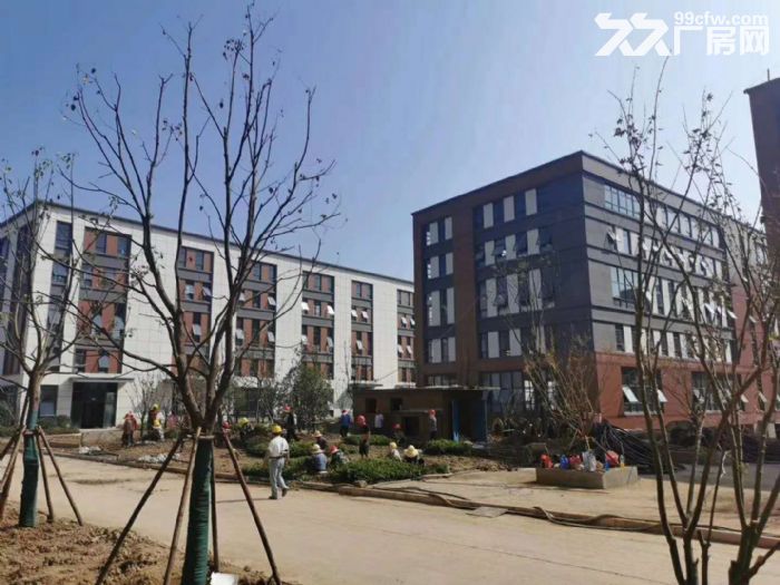 出租    科技生产类企业专业园区 两证齐全 可贷款可分期-图2