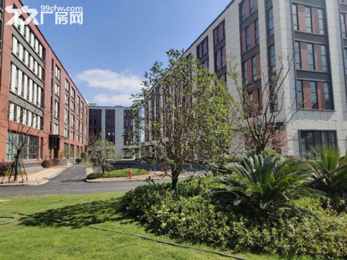 [出租]花园式办公厂房，600平起-图2