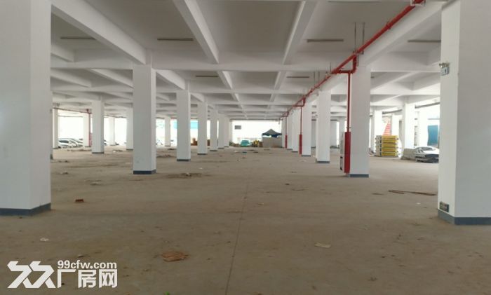 江宁湖熟2500平起厂房出租 周转场地20~40米 、交通方便-图3