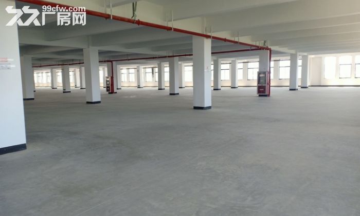 江宁湖熟2500平起厂房出租 周转场地20~40米 、交通方便-图5