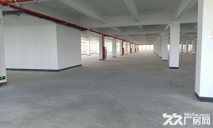 江宁湖熟2500平起厂房出租 周转场地20~40米 、交通方便-图7