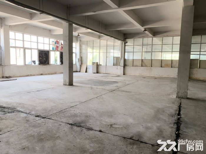 秣陵独门独院厂房 面积大小可分 配套设施齐全、交通便利-图3