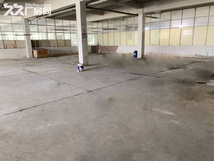 秣陵独门独院厂房 面积大小可分 配套设施齐全、交通便利-图5