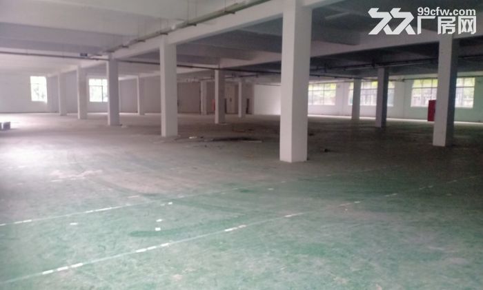 江宁开发区18000平标准厂房，配套办公综合楼、交通方便-图4