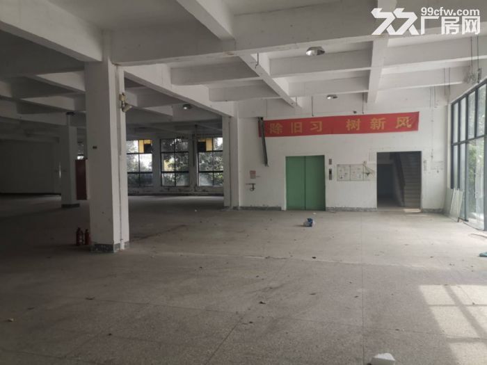 11000平方米，浦口区、星甸街道标准框架工业厂房(独院)-图2