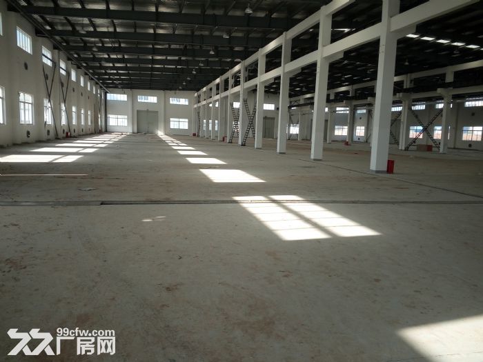 滨江开发区5000平方米单层厂房出租， 电630kva,标准-图2