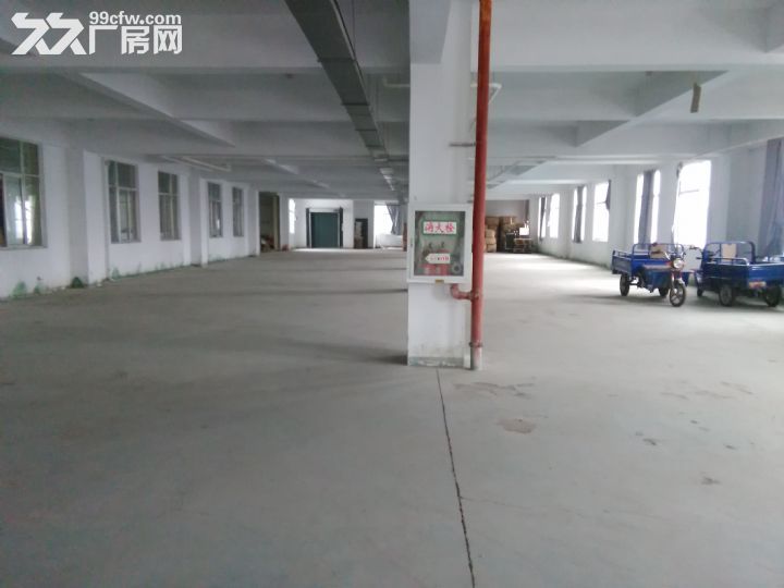 科学园1100平方米厂房出租，有办公室宿舍  可分租500平-图8