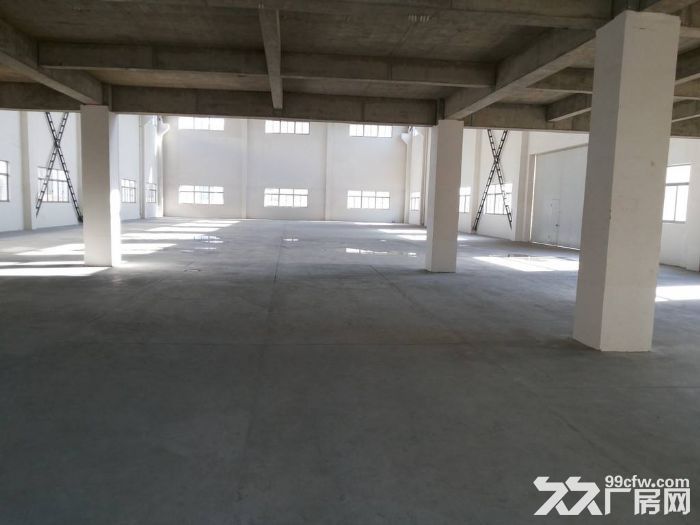 11..湖熟1到4楼7200平米新建独栋标准厂房1楼高8米环境好-图3