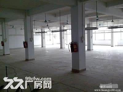 个人.将军大道1到2楼4000平米标准厂房-图2