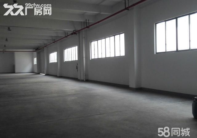 (出租) 个人.江宁1到3楼21000平米独栋厂房-图3