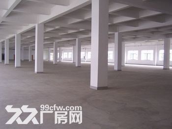 个人.湖熟一楼1000平米厂房或仓库 高度8米，混凝土结构-图5