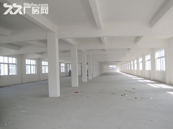 个人.湖熟一楼1000平米厂房或仓库 高度8米，混凝土结构-图6
