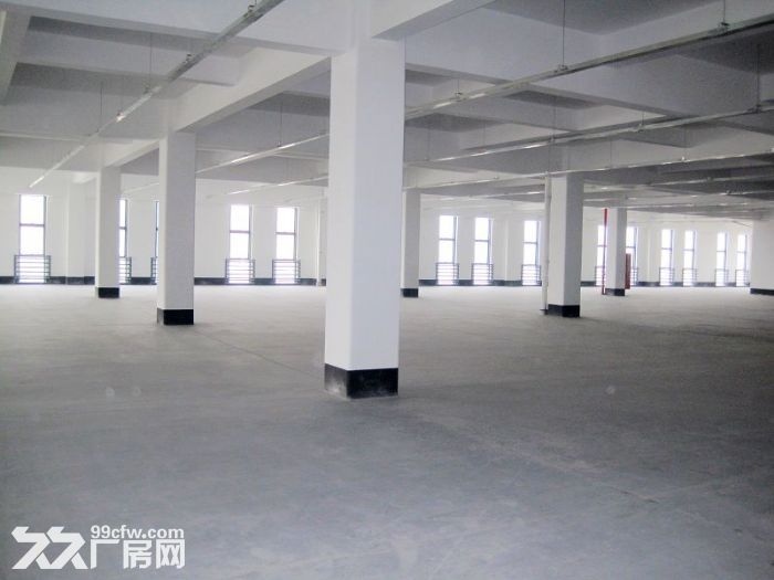 个人.双龙大道旁1到3楼5400平米独栋厂房招租-图6