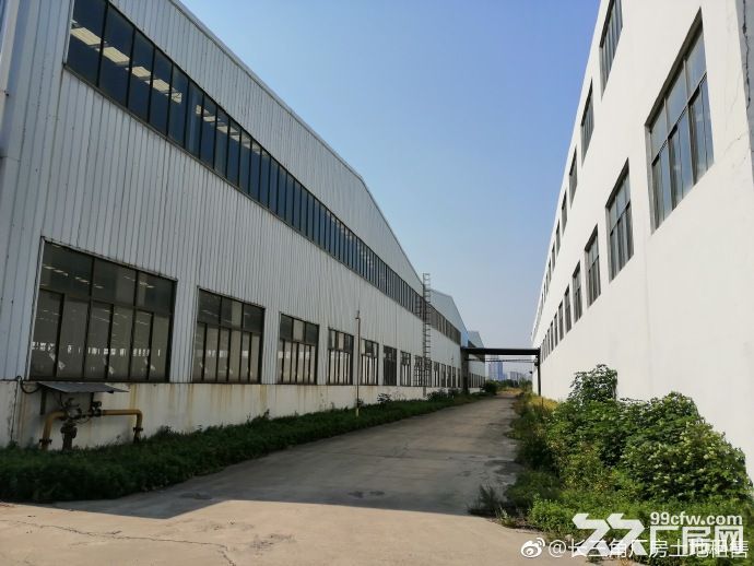 A中南高科 长三角 多个园区 独栋厂房出售 800平起售 独栋三层首层8.1米-图3
