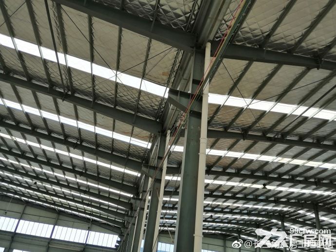 A中南高科 长三角 多个园区 独栋厂房出售 800平起售 独栋三层首层8.1米-图7