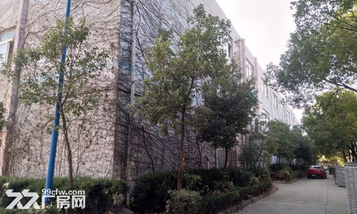 秣陵标准厂房2300平独栋单层厂房，层高8米，可生产可仓储、交通便利-图7