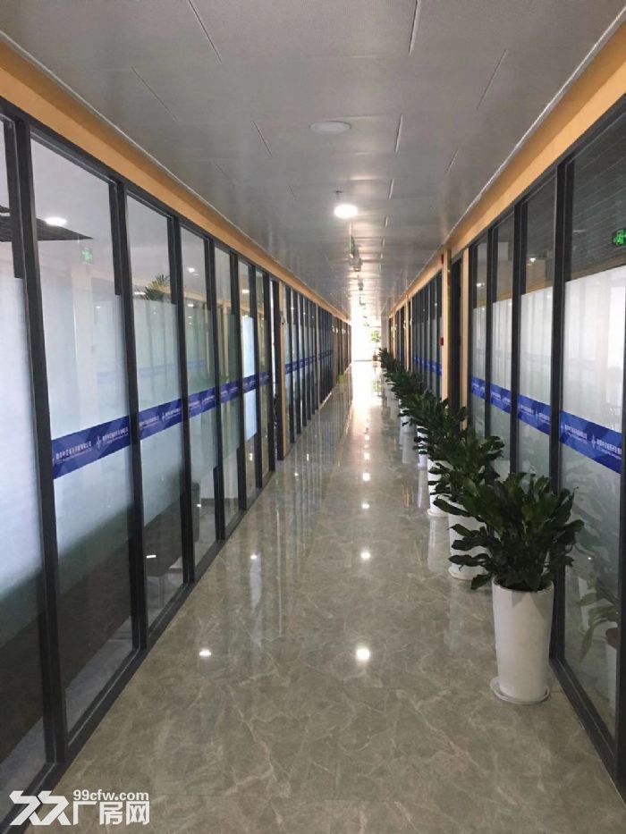 建筑产业园 淳化街道直租-图3