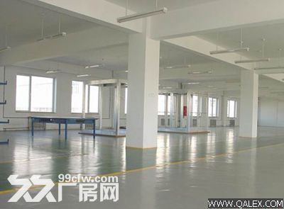 32...上坊工业园一楼2300平米高5米独门独院厂房-图3
