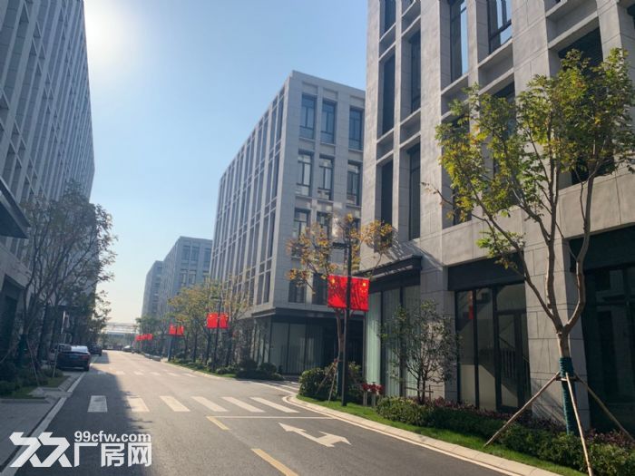 租售  浦口桥林新城 办公研发生产厂房  独栋-图4