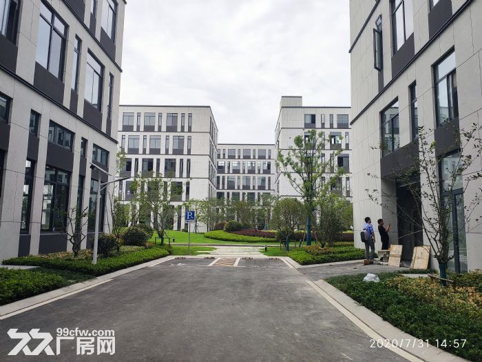 租售  浦口桥林新城 办公研发生产厂房  独栋-图8