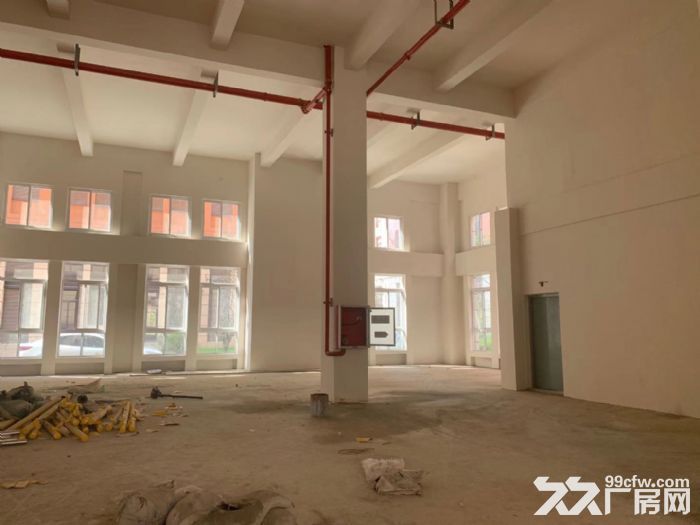 出租 南京浦口区单一层厂房   1700㎡起-图4