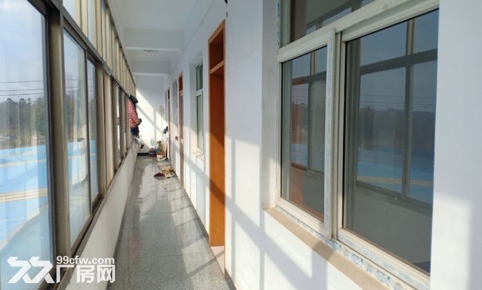 江宁湖熟全单层400平厂房出租 租期灵活 5吨行车 、交通方便-图3