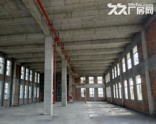 分层标准厂房，可拆分，50年产权核心地理位置-图4