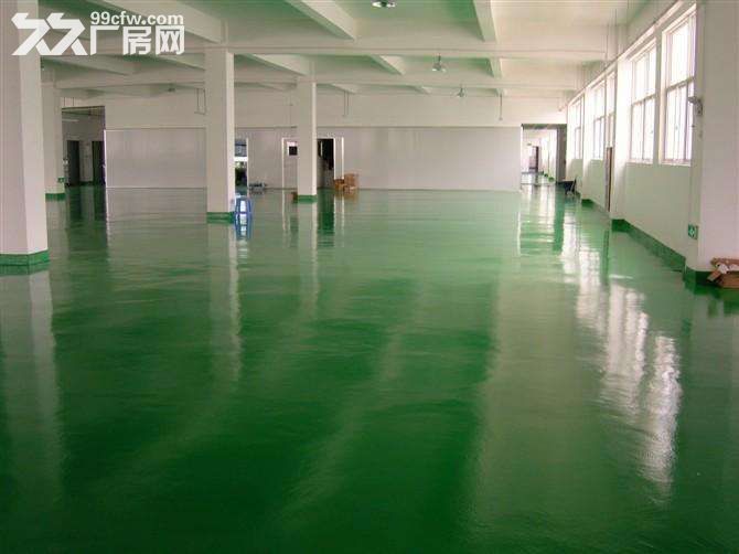17.禄口.1到2楼7000平米.共两栋.标准厂房.层高4米.有货梯.客梯.独院-图2
