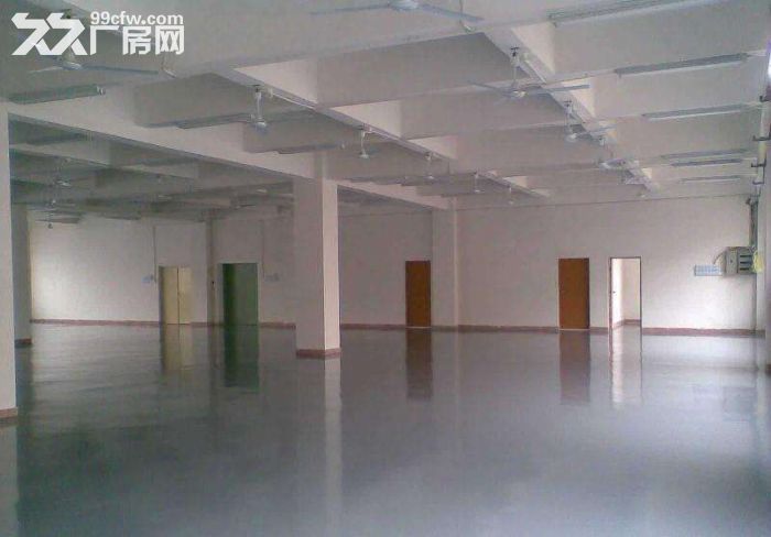17.禄口.1到2楼7000平米.共两栋.标准厂房.层高4米.有货梯.客梯.独院-图3