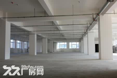 17.禄口.1到2楼7000平米.共两栋.标准厂房.层高4米.有货梯.客梯.独院-图7
