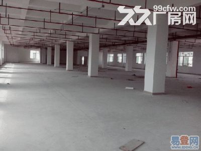 个人.将军大道旁1到2楼4000平米独栋厂房-图3