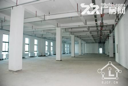 个人.将军大道旁1到2楼4000平米独栋厂房-图5