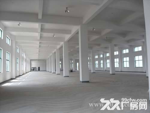 个人.将军大道旁1到2楼4000平米独栋厂房-图4