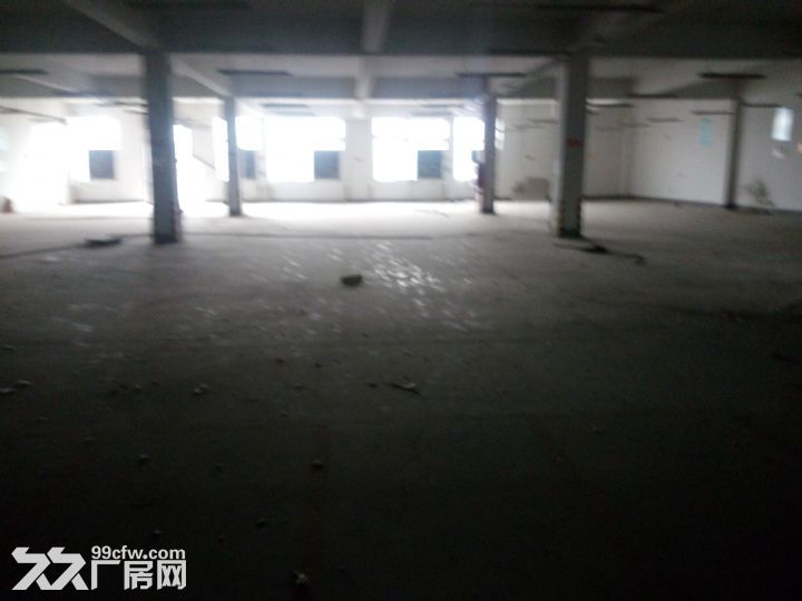 多层厂房出租，有1层1150平方，2层2300平方  可分租-图2