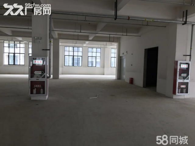 (出租) 个人.江宁开发区1到3楼21000平米独栋厂房