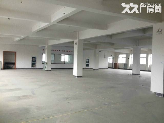 个人.一楼1000平米和二楼700平米.标准厂房-图4