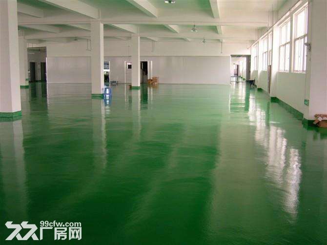 个人.一楼1000平米和二楼700平米.标准厂房-图7