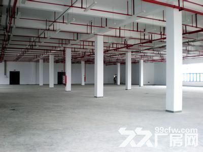 个人.一楼1000平米和二楼700平米.标准厂房-图6