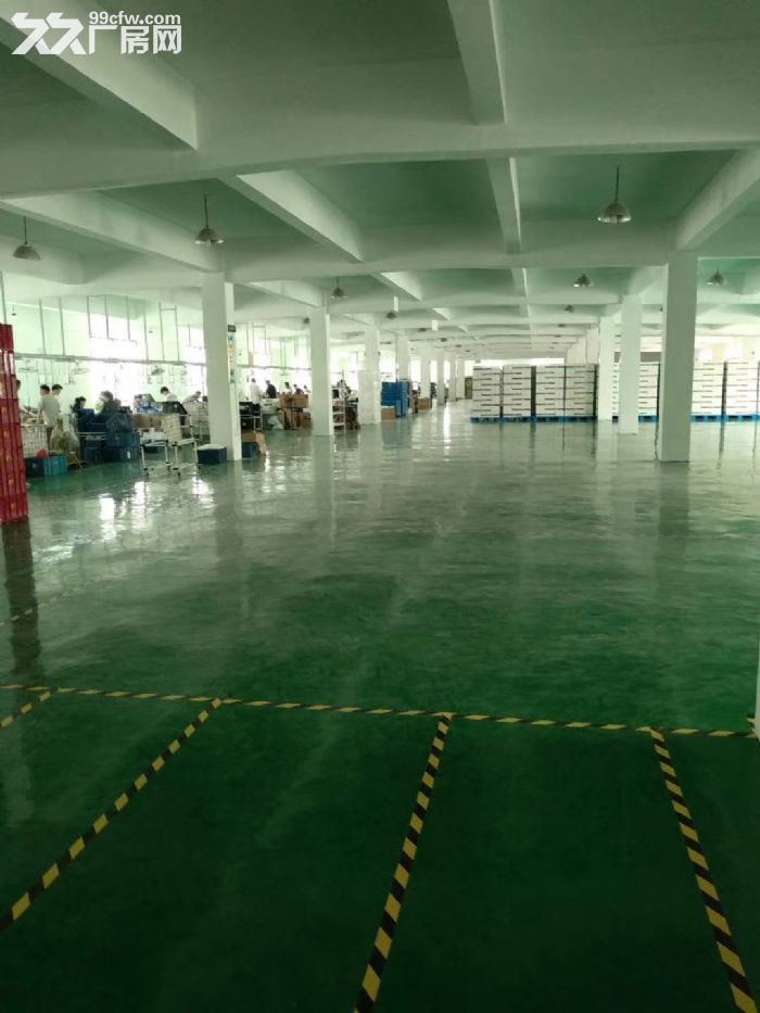 江宁开发区3300平厂房仓库，高12米，适合体育，汽修，仓库，生产，组装等-图3