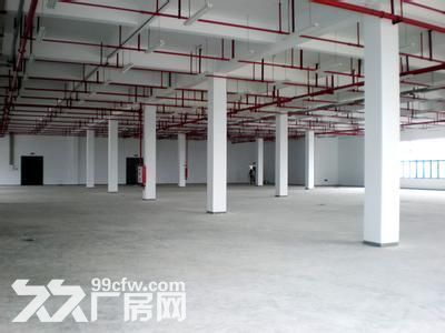 个人.江宁一楼800−−−4000平米单层高8米厂房可分租-图4