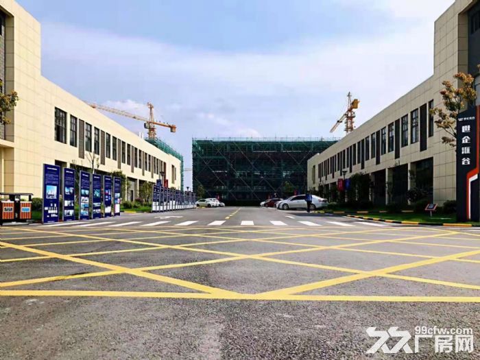 六合 开发区 政府 自持 产业园招商优质企业免租金必须落户在开发区-图4