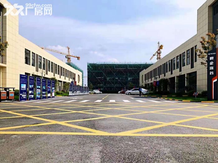 六合 开发区 政府 自持 产业园招商优质企业免租金必须落户在开发区-图7
